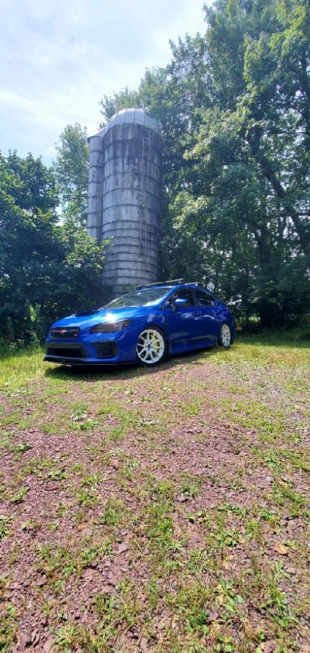 Mike DAgostino's 2019 Impreza WRX STI Limited