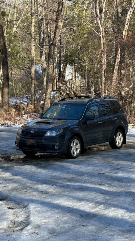 Reese C's 2010 Forester XT