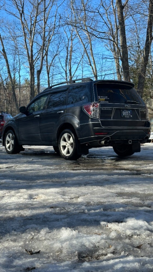 Reese C's 2010 Forester XT