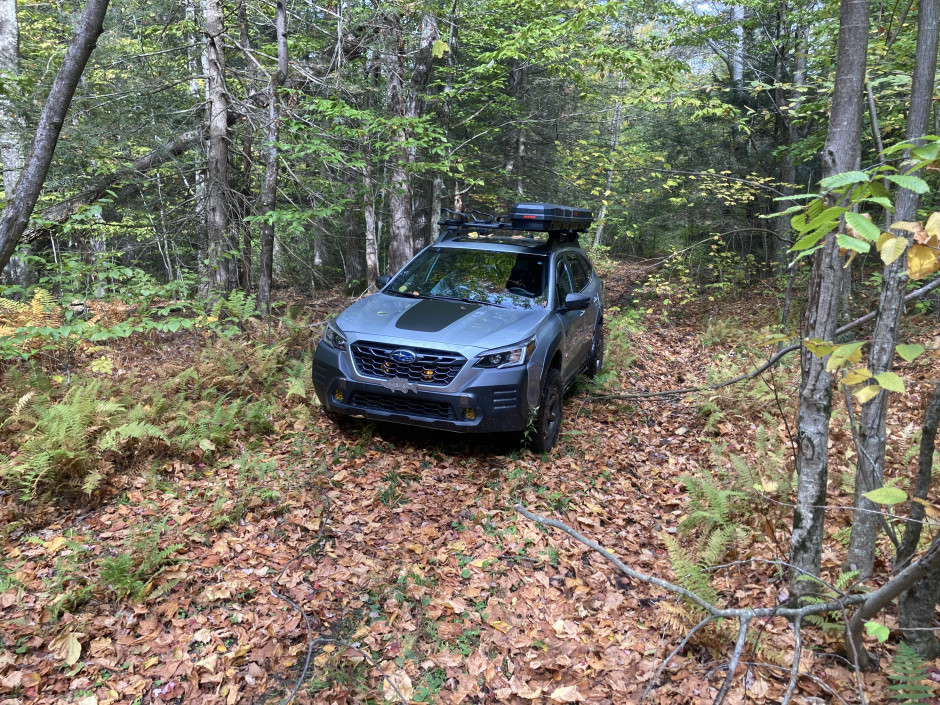 Daniel Lanctot's 2022 Outback Wilderness