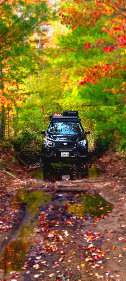 Alexander Cramm's 2019 Forester Premium